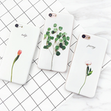 3D Plants coll.